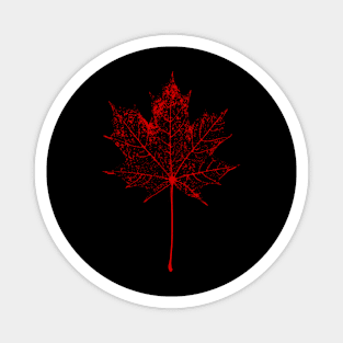 Autumn leaf Magnet